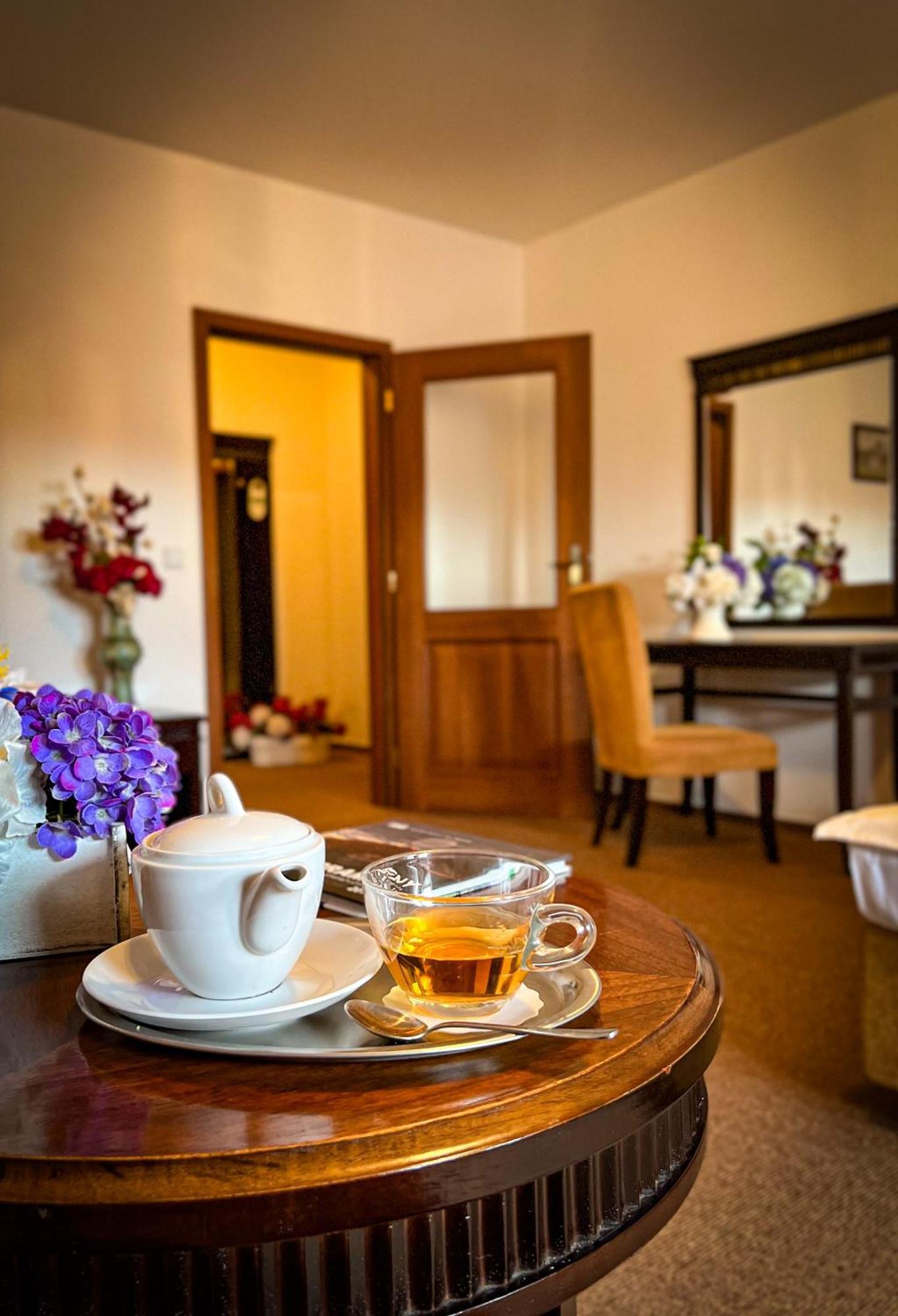 Hotel U Zeleneho stromu Nepomuk Buitenkant foto